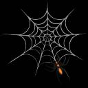 Spider-in_Web